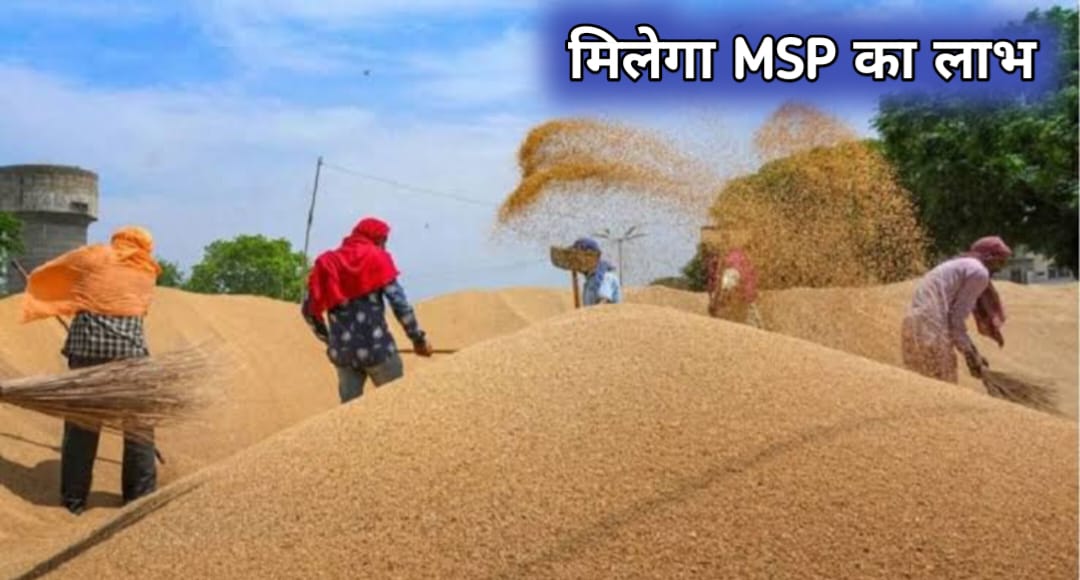MSP