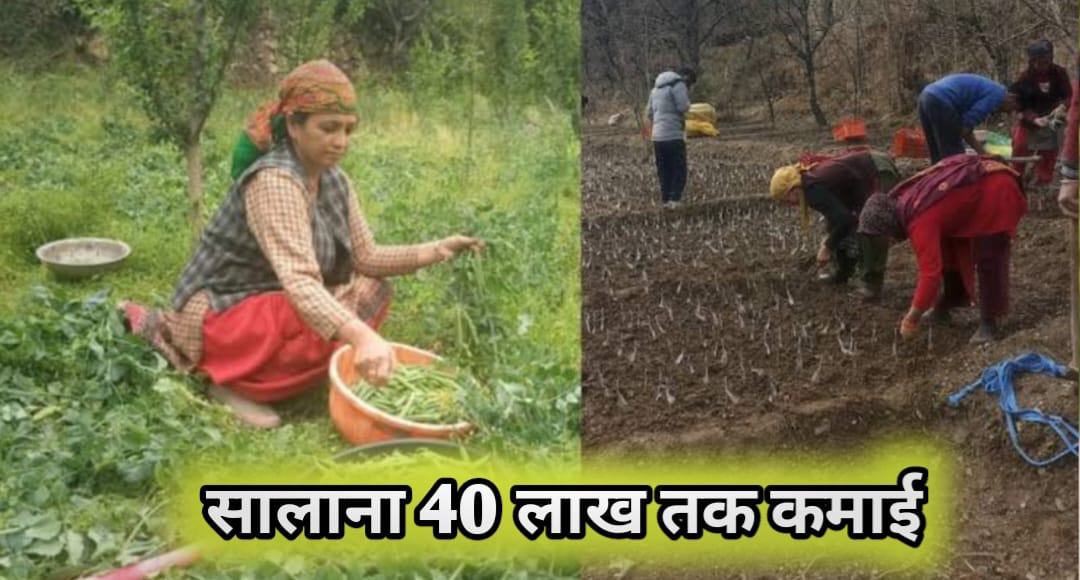 जैविक खेती
