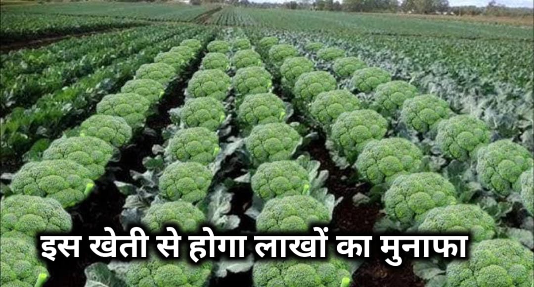 ब्रोकोली