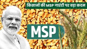 किसानों की MSP गारंटी पर बड़ा कदम, केंद्र ने मांगा डेटा, 19 मार्च को होगी अहम बैठक