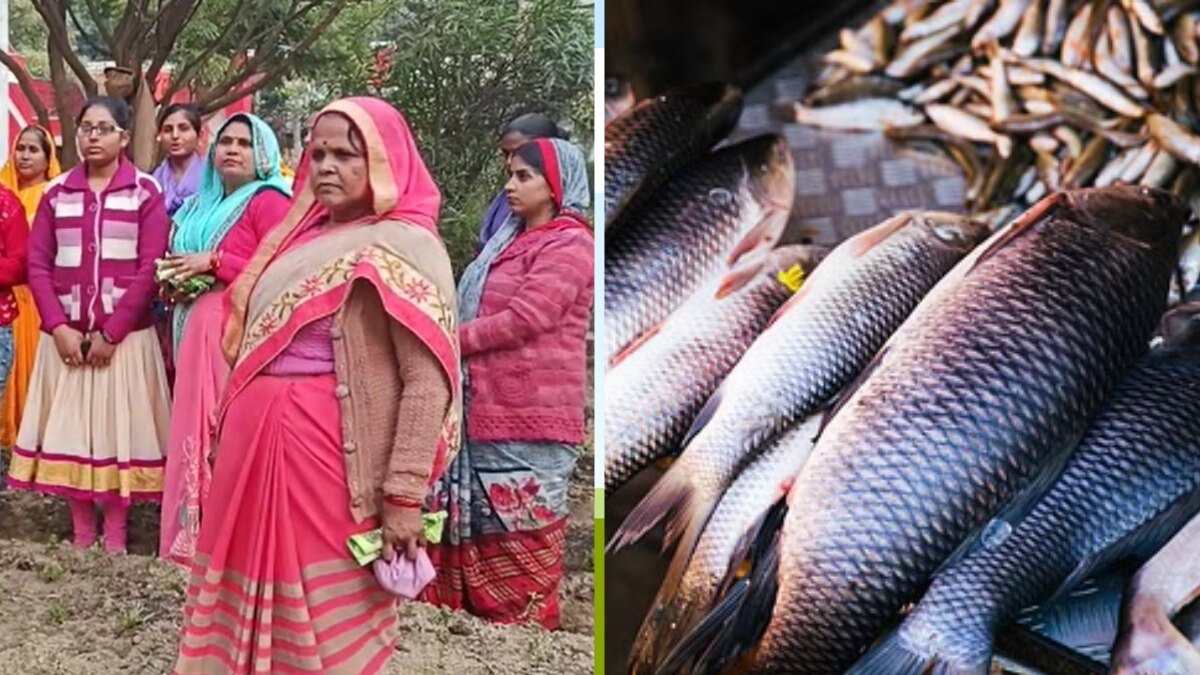 गांवों में बदल रही तकदीर, यूपी की महिलाएं रंगीन मछलियों से कमा रही लाखों, जानिए कैसे