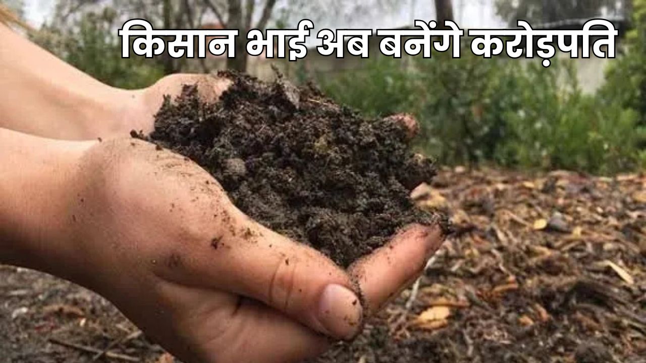 गोबर से बनेगा सोना, किसान भाई अब बनेंगे करोड़पति, जानिए जबरदस्त कमाई के ये अनोखे तरीके