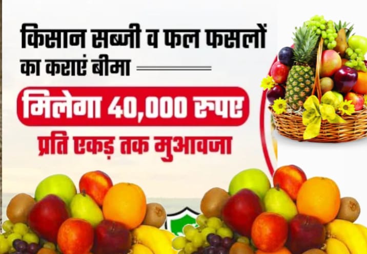 Mukhyamantri Bagwani Bima Yojana