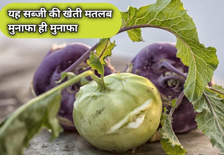 सब्जी