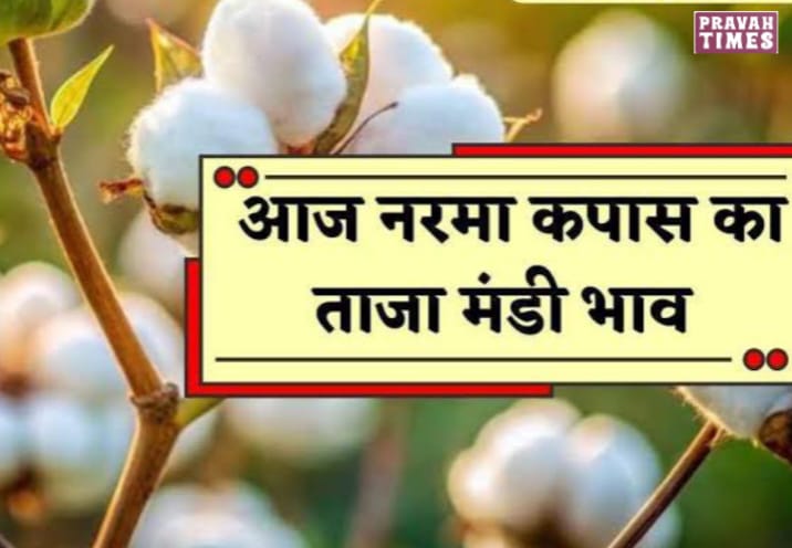 Narma Bhav Today