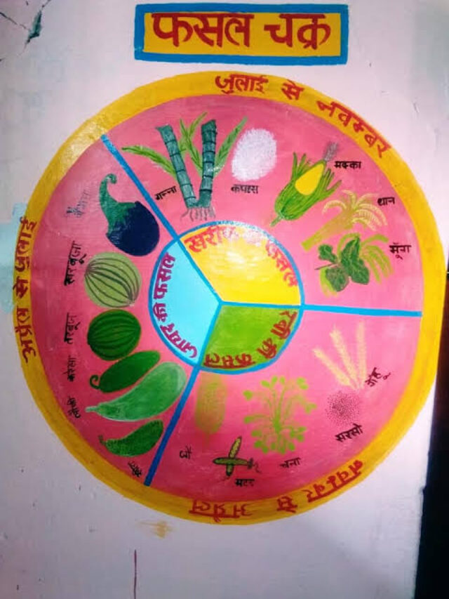 WhatsApp Image 2025-03-19 at 7.01.59 PM