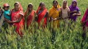 Krishi Sakhi Training