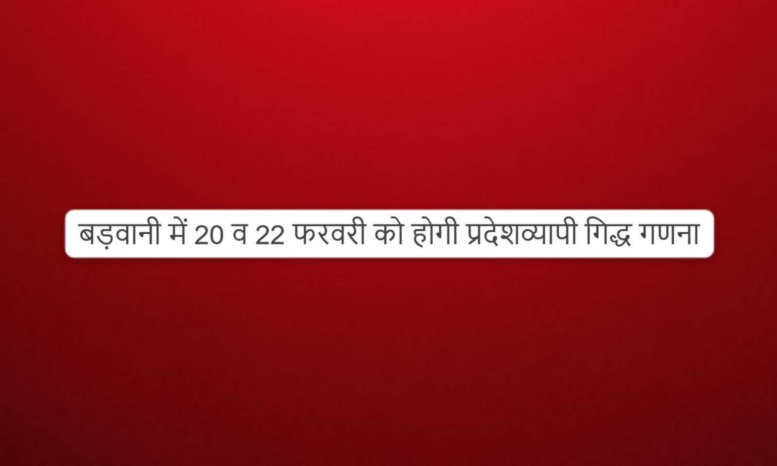 Barwani wildlife update