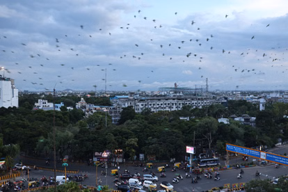 Indore Property News