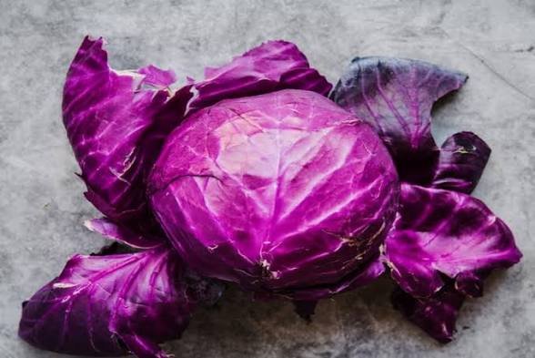 How to Grow Red Cabbage