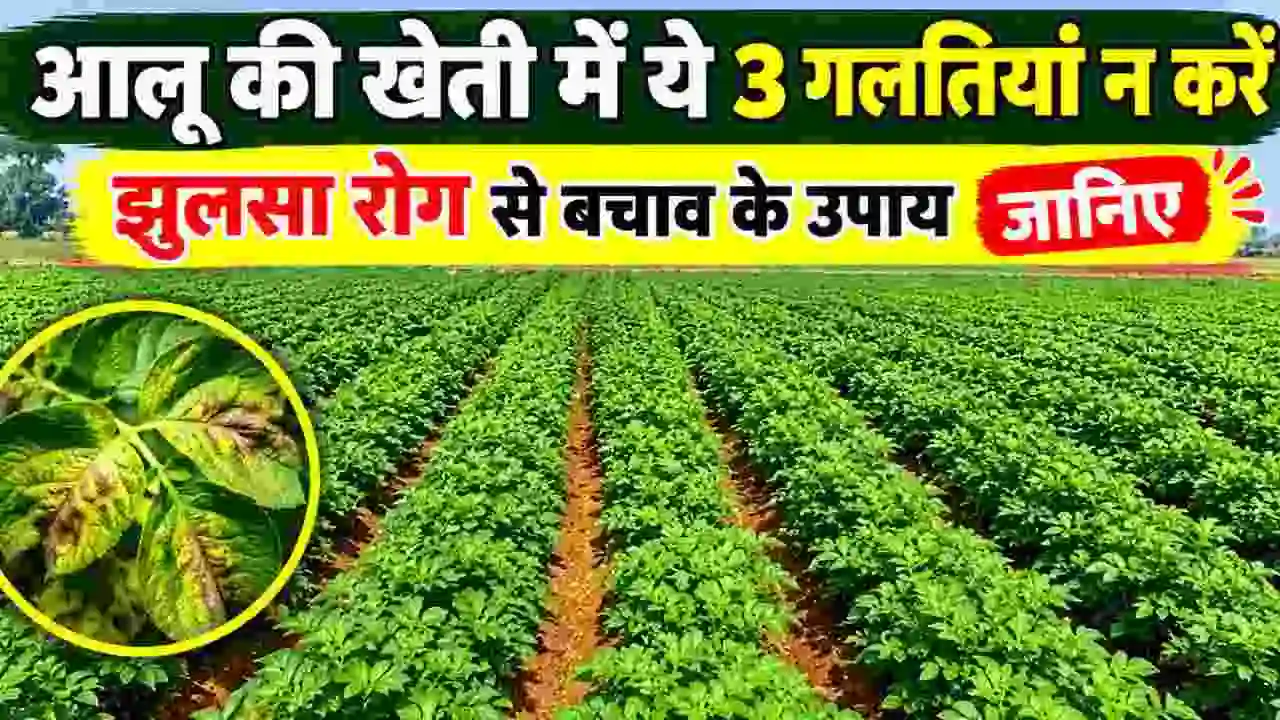 Aalu Ki Kheti Ke Bachav Ke Upay