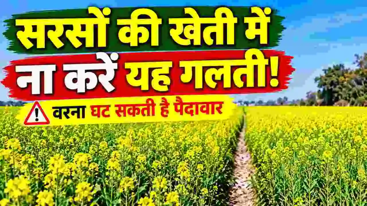 Sarson Ki Kheti