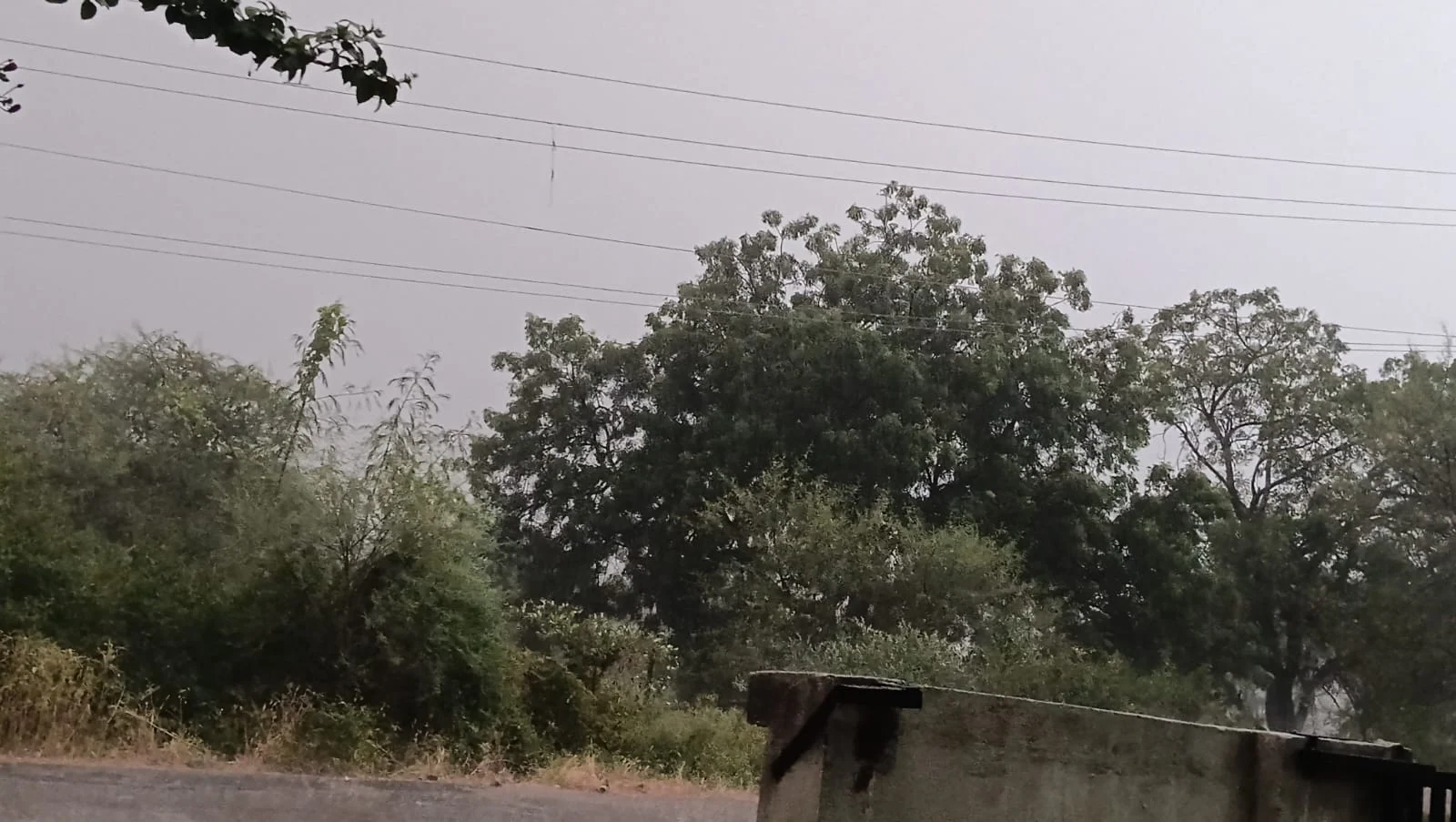 Indore Rain News In Hindi